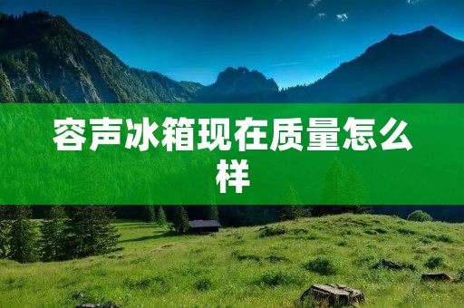 容声冰箱现在质量怎么样