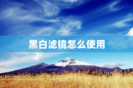 黑白滤镜怎么使用