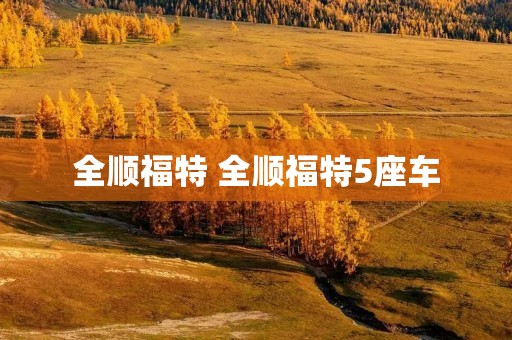 全顺福特 全顺福特5座车