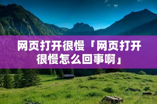 网页打开很慢「网页打开很慢怎么回事啊」