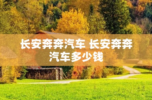 长安奔奔汽车 长安奔奔汽车多少钱