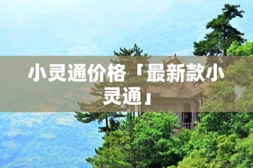 小灵通价格「最新款小灵通」