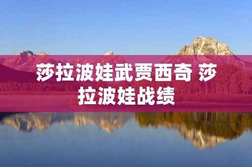 莎拉波娃武贾西奇 莎拉波娃战绩
