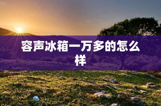 容声冰箱一万多的怎么样
