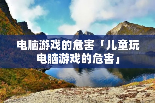 电脑游戏的危害「儿童玩电脑游戏的危害」