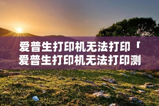 爱普生打印机无法打印「爱普生打印机无法打印测试页」