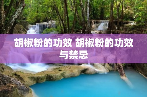 胡椒粉的功效 胡椒粉的功效与禁忌