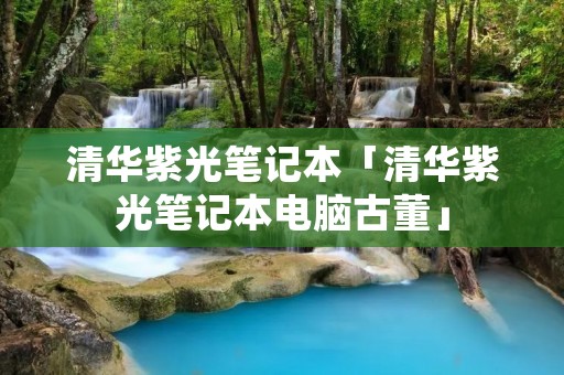 清华紫光笔记本「清华紫光笔记本电脑古董」 清华紫光笔记本「清华紫光笔记本电脑古董」