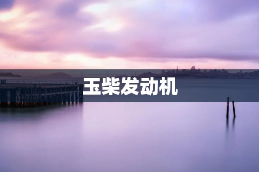玉柴发动机:引领行业技术创新的领军者 玉柴发动机:引领行业技术创新的领军者