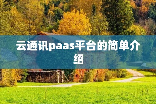云通讯paas平台的简单介绍