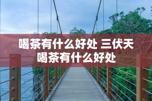 喝茶有什么好处 三伏天喝茶有什么好处