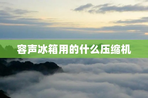 容声冰箱用的什么压缩机 容声冰箱用的什么压缩机