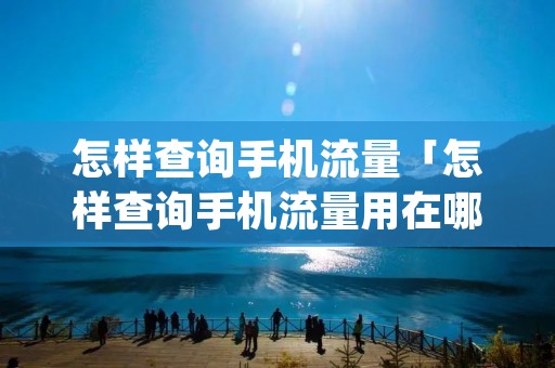 怎样查询手机流量「怎样查询手机流量用在哪些app软件了」 怎样查询手机流量「怎样查询手机流量用在哪些app软件了」