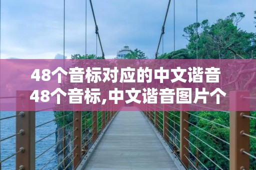 48个音标对应的中文谐音 48个音标,中文谐音图片个音标发音视频教程