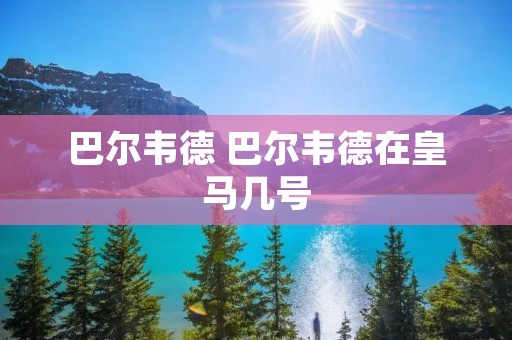 巴尔韦德 巴尔韦德在皇马几号