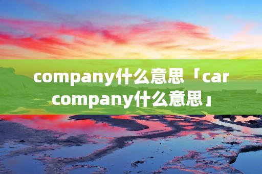 company什么意思「carcompany什么意思」
