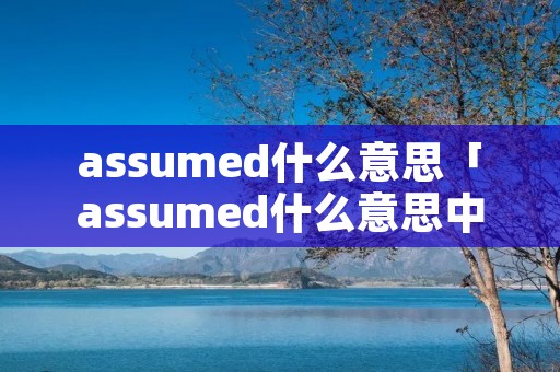 assumed什么意思「assumed什么意思中文翻译」