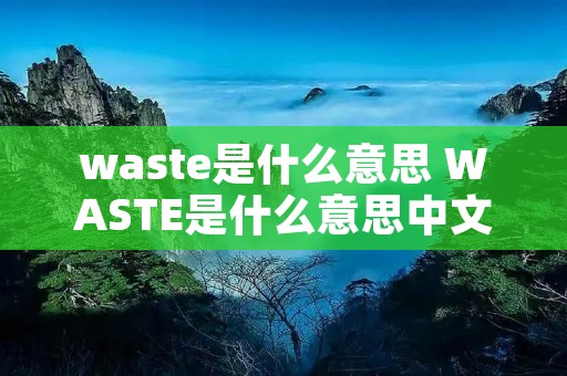 waste是什么意思 WASTE是什么意思中文翻译