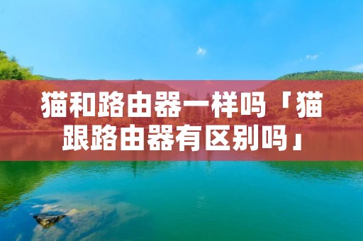 猫和路由器一样吗「猫跟路由器有区别吗」