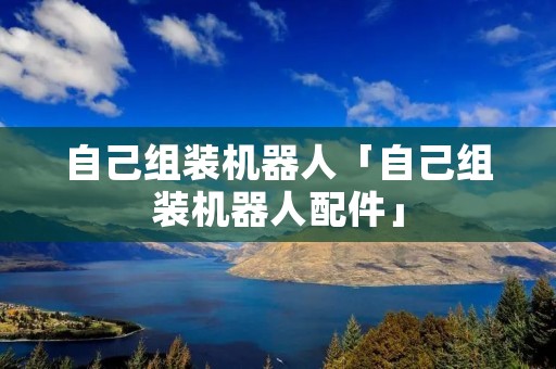 自己组装机器人「自己组装机器人配件」