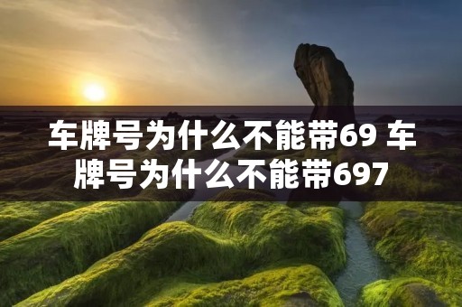 车牌号为什么不能带69 车牌号为什么不能带697