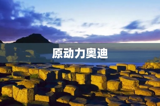 原动力奥迪：开启驾驶新纪元