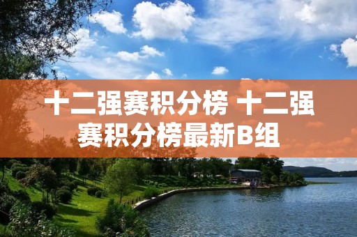 十二强赛积分榜 十二强赛积分榜最新B组