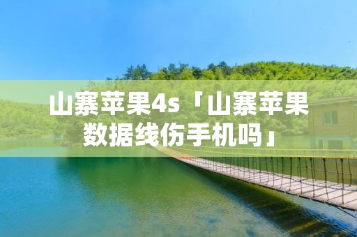 山寨苹果4s「山寨苹果数据线伤手机吗」