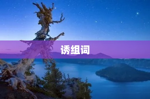诱组词:网络安全、数据泄露、黑客攻击、个人隐私、信息安全