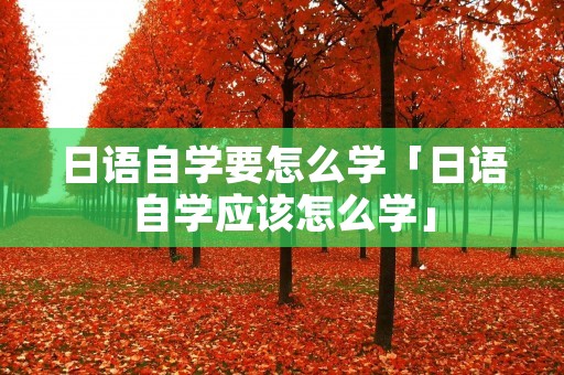 日语自学要怎么学「日语自学应该怎么学」