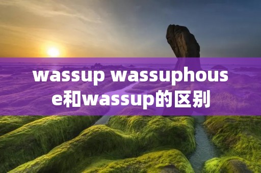 wassup wassuphouse和wassup的区别