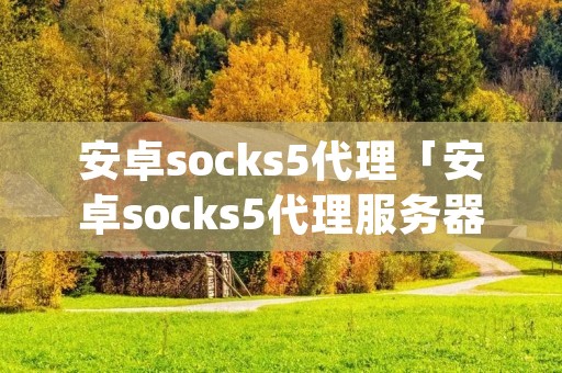 安卓socks5代理「安卓socks5代理服务器apk」