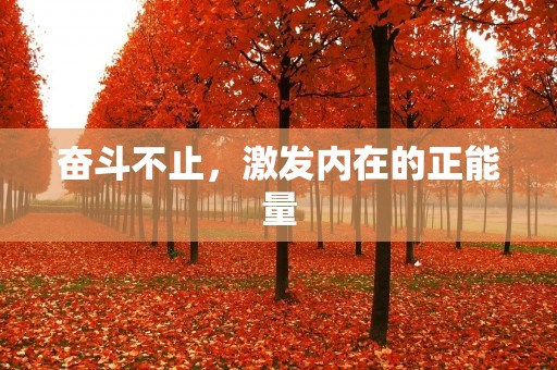 奋斗不止，激发内在的正能量