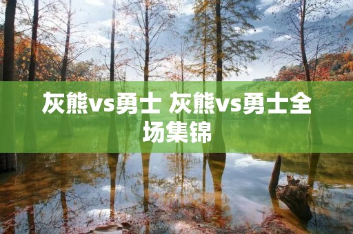 灰熊vs勇士 灰熊vs勇士全场集锦