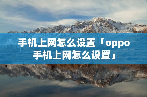 手机上网怎么设置「oppo手机上网怎么设置」