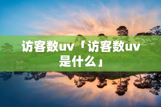 访客数uv「访客数uv是什么」
