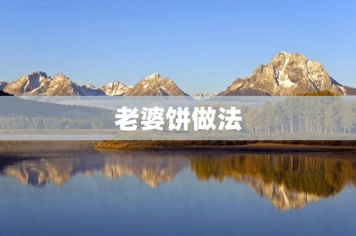 老婆饼做法：传统美味的家常糕点