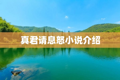 真君请息怒小说介绍 真君请息怒小说介绍
