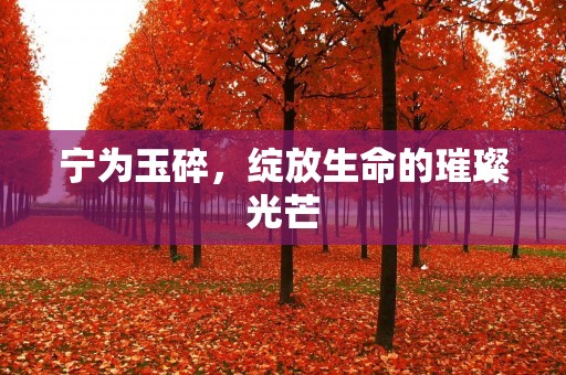 宁为玉碎,绽放生命的璀璨光芒