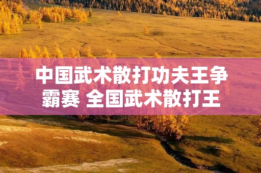 中国武术散打功夫王争霸赛 全国武术散打王
