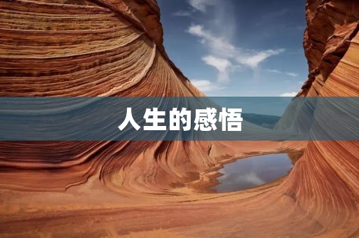 人生的感悟：智慧之光照亮前行之路