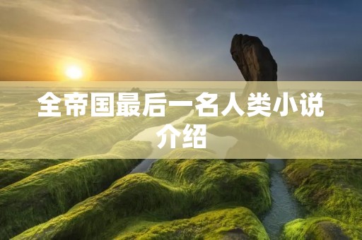 全帝国最后一名人类小说介绍
