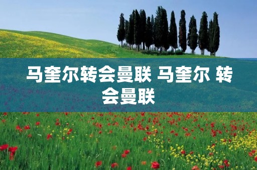 马奎尔转会曼联 马奎尔 转会曼联