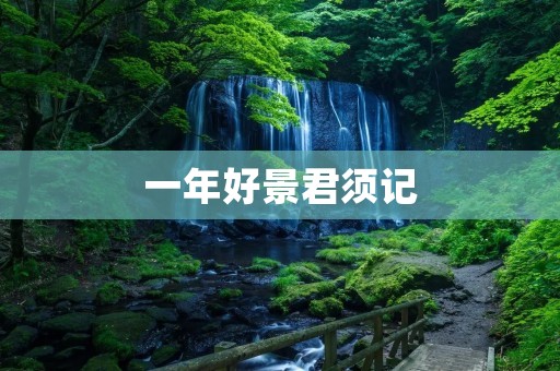 一年好景君须记:细数美好时刻