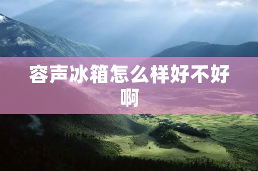 容声冰箱怎么样好不好啊 容声冰箱怎么样好不好啊