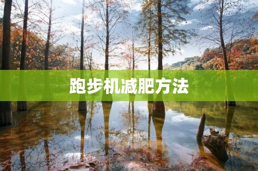 跑步机减肥方法:科学运动,瘦身不误健康