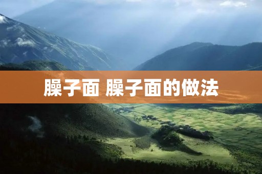 臊子面 臊子面的做法 臊子面 臊子面的做法