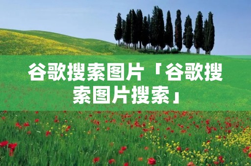 谷歌搜索图片「谷歌搜索图片搜索」