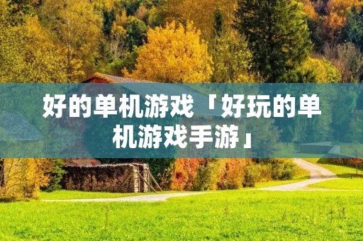 好的单机游戏「好玩的单机游戏手游」