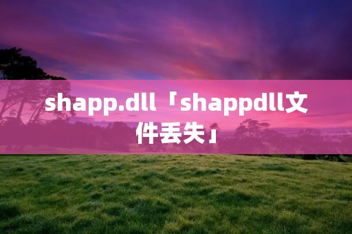 shapp.dll「shappdll文件丢失」 shapp.dll「shappdll文件丢失」